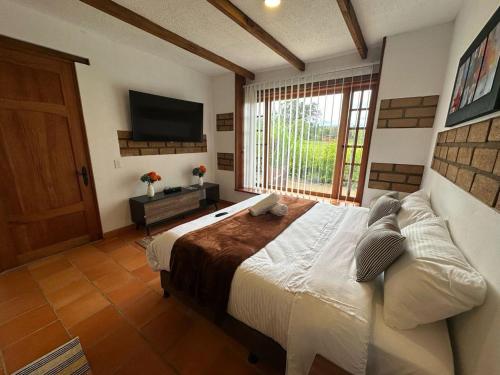 Hotel Pliosaurio Campestre