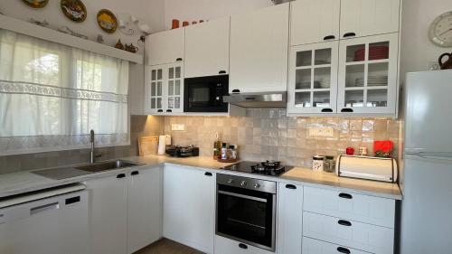 Poly's hill-house close to the beach in Akti Idras (Argolis)
