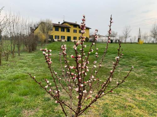 Sangiligio Countryside Villa, Private Rooms w Kitchen, Bath, Private Entrance, Crema - Ombriano