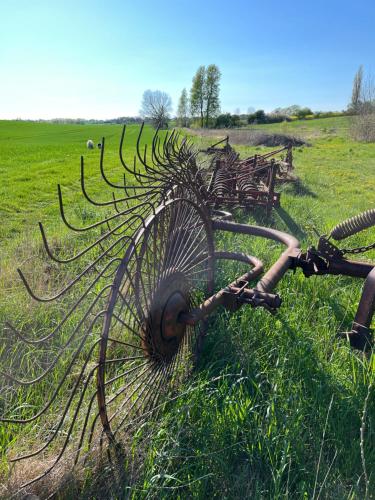 Ümbrus, GRUBBE MØLLE, Lejlighed med eget køkken og bad in Faaborg