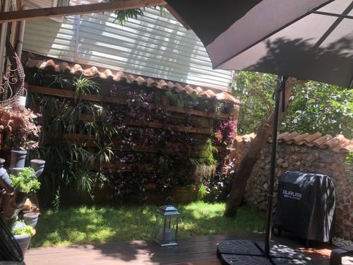 Antalya kaleiçi müstakil kişiye özel bahçeli müstakil VİLLA, Antalya (fotografie 6)
