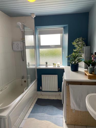 Midsummer cottage, Wexford (Foto 9)
