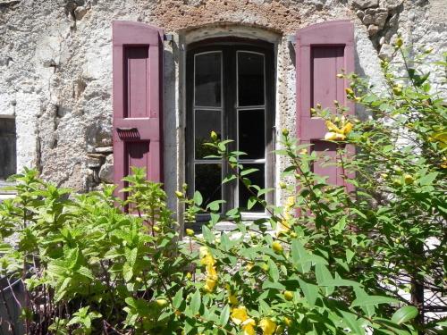 Studio à Générargues, en Cévennes, proche Anduze (Studio a Generargues, en Cevennes, proche Anduze) in Generargues