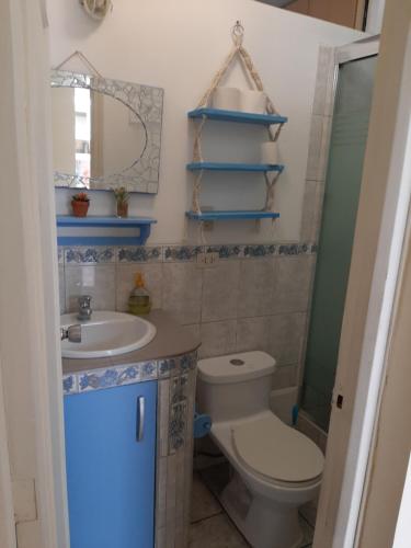 Groundfloor, onebedroom apartment, Lima (photo 10)