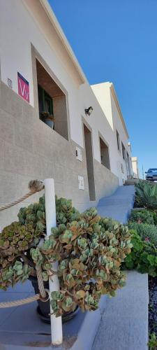 Casa Daniel 3