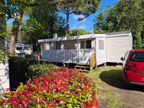 Superbe Mobil home 6-8 personnes (57)
