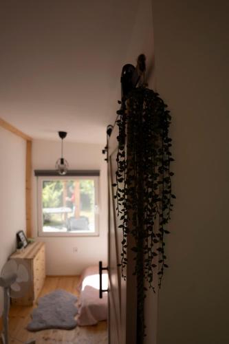 Rozi's Vacation Home in Budakalász Booking.com提供写真