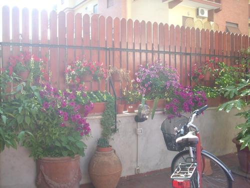 Casa Marino Roma, Roma (foto 4)