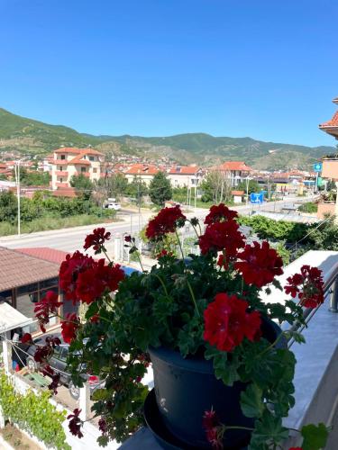 Apartamenti 71 in Pogradec