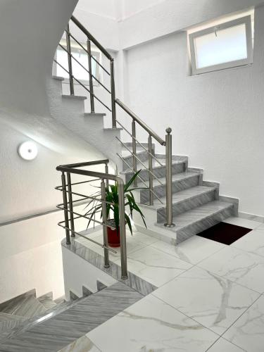 Apartamenti 71 in Pogradec