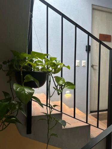 Santa Noche Suite & Spa in San Miguel De Allende