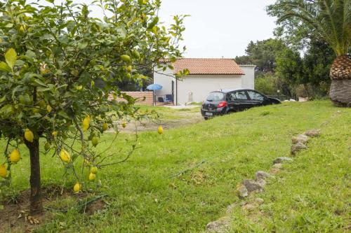  Cotoncello in Marciana