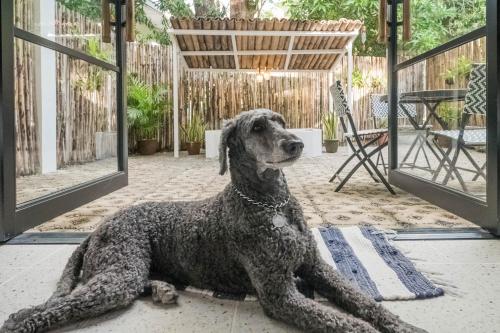 EIWA Nest Self-Service Apartment - AC, Outdoor Tub, Pet Friendly with a Fee
