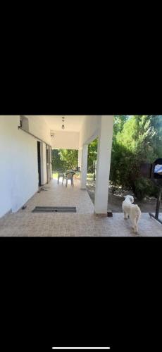 la soñada (la sonada) in El Rodeo