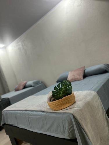 One-Bedroom Apartment image 6