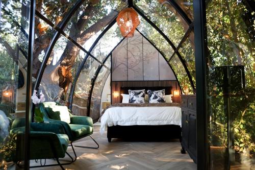 De Nest - Clear Glass Tree Cabin, Montagu