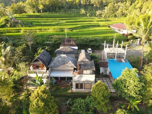 발리 Munduk Nature Lodge 호텔 로비