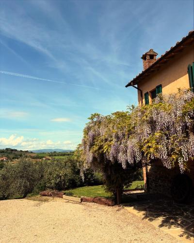  Casolare Marconi in Panicale