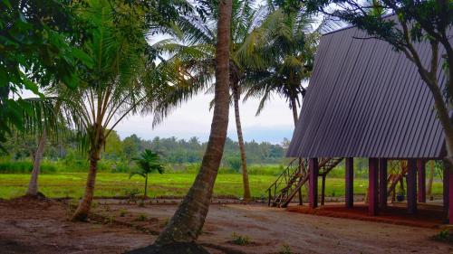 Paddy view cabana sigiriya - image 2