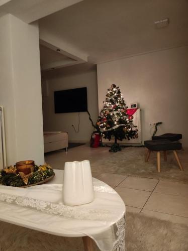 Basement Suite, Tríkala (foto 4)