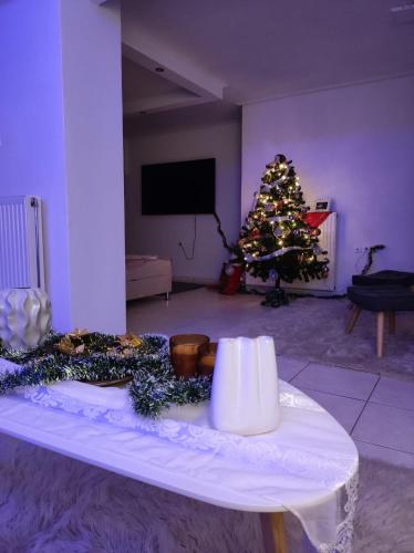 Basement Suite, Tríkala (foto 8)