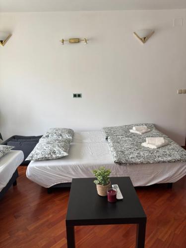 Trnovo Lunca Apartment, Lublaň (fotografie 6)