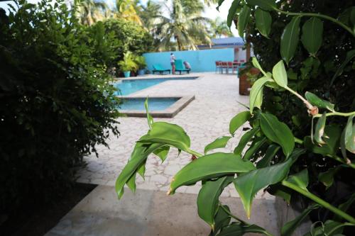 hotel photo