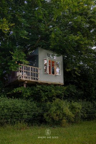 . Treehouse escape