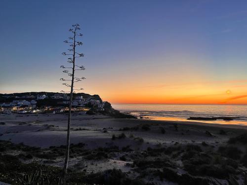 Nearby attraction, Casa Salacia in Vale da Telha