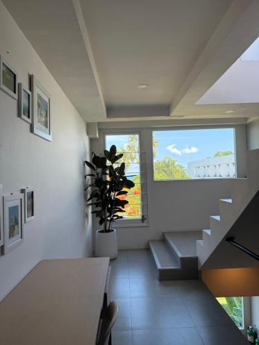 Single Capsule Bed with Window image 2