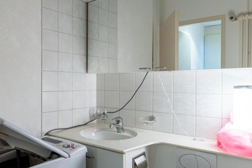 Bright Flat with Workspace near Downton, Basel (photo 6)