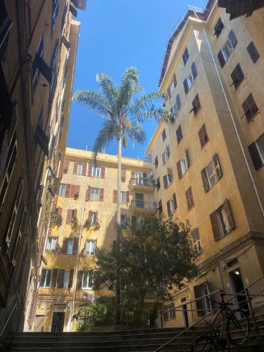 Il cuore di Genova, comfort e tranquillità, Janov (fotografie 10)