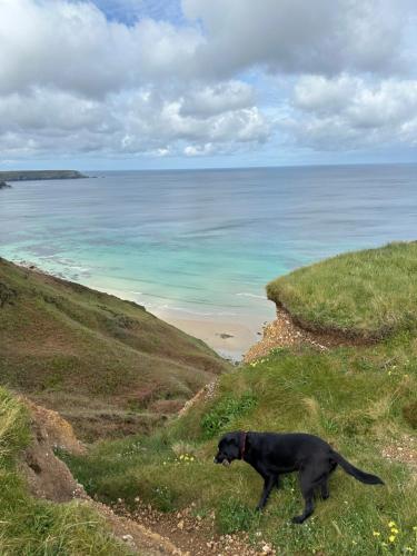 Little Nampara Cottage in เรดดิทช์