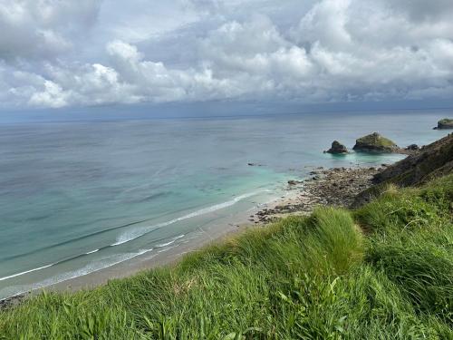 Little Nampara Cottage in เรดดิทช์