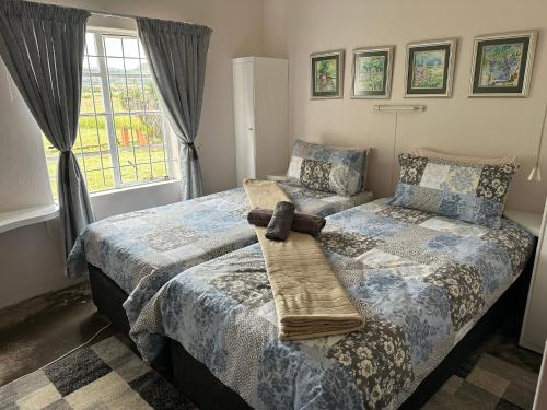 Lusthof Self Catering in Zastron