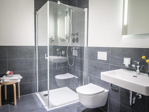 Freiburger-Ferienwohnung - image 6