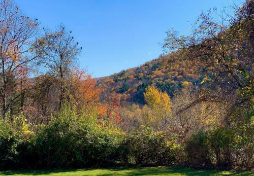 Green Acres Retreat - image 7