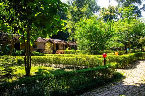 Wild Planet Eco Retreat