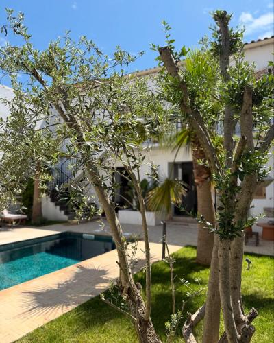 La Maison De Ville - Piscine & SPA – Sete, FL