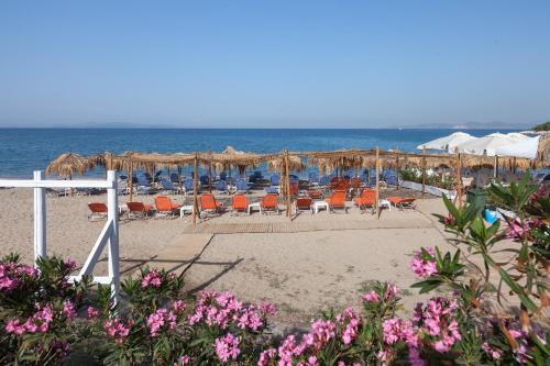 Tropical Hotel Seafront Boutique - image 4