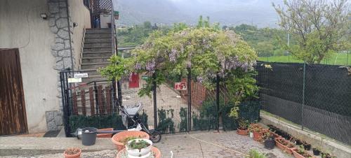 Maison Lella in Pontey