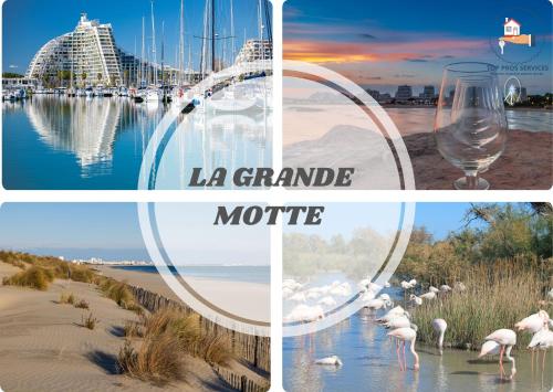 SUN7 STUDIO -FACE PLAGE- WIFI-PARKING -PISCINE - TOP PROS SERVICESConciergerieLaGrandeMotte