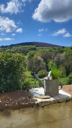 La Maison du chataignier gîte à louer Ferrals-les-Montagnes