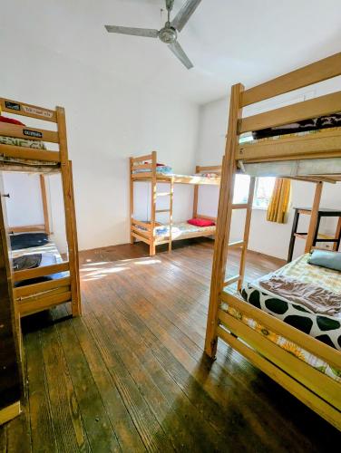 Tirana Backpacker Hostel, Tirana (fotografie 9)