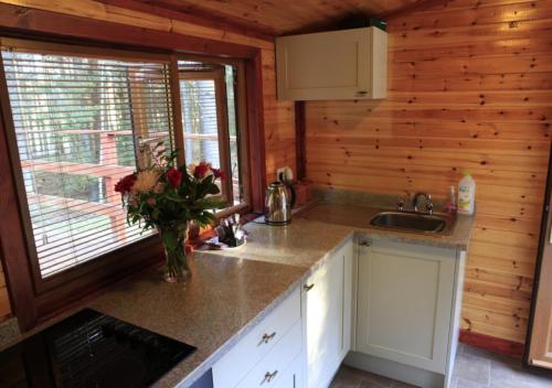 ห้องครัว, Cairngorm Lodges in แอบยอน