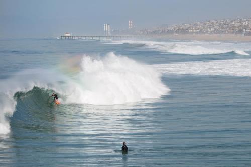 Beach House Hotel at Hermosa Beach - image 5