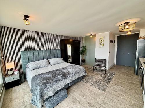 Hermoso Estudio en Montemar