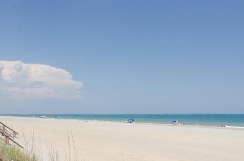 Carolina Comfort Lower by Bryant Real Estate - image 4