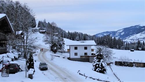  AlpinResort DerBacherhof in Niedernsill