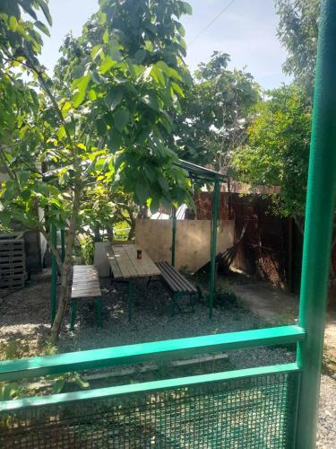 View, Shiraz in Agarak